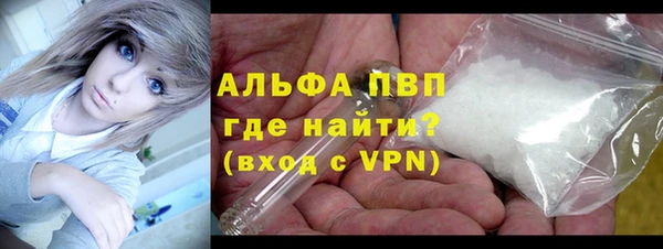 молекула духа Осташков