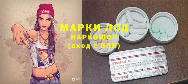 ПСИЛОЦИБИНОВЫЕ ГРИБЫ Балабаново