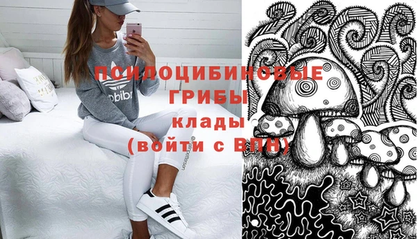 крисы Осинники