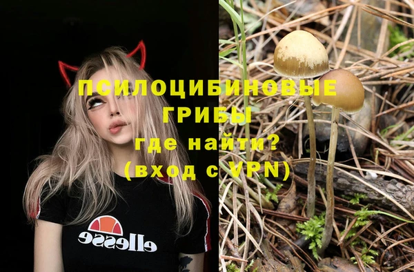 мескалин Балахна